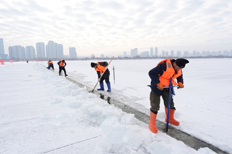 哈尔滨冰雪大世界采冰工作全面启动