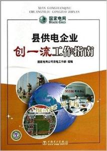 电力公司事业编，职责、价值及发展前景展望