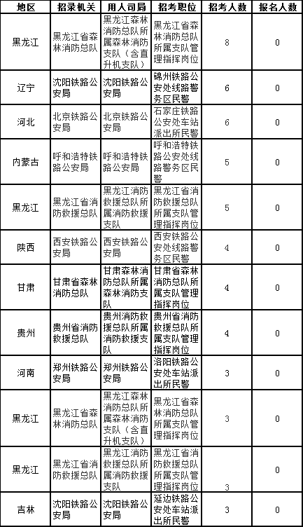 公务员无人报考岗位现象，挑战及应对策略探讨