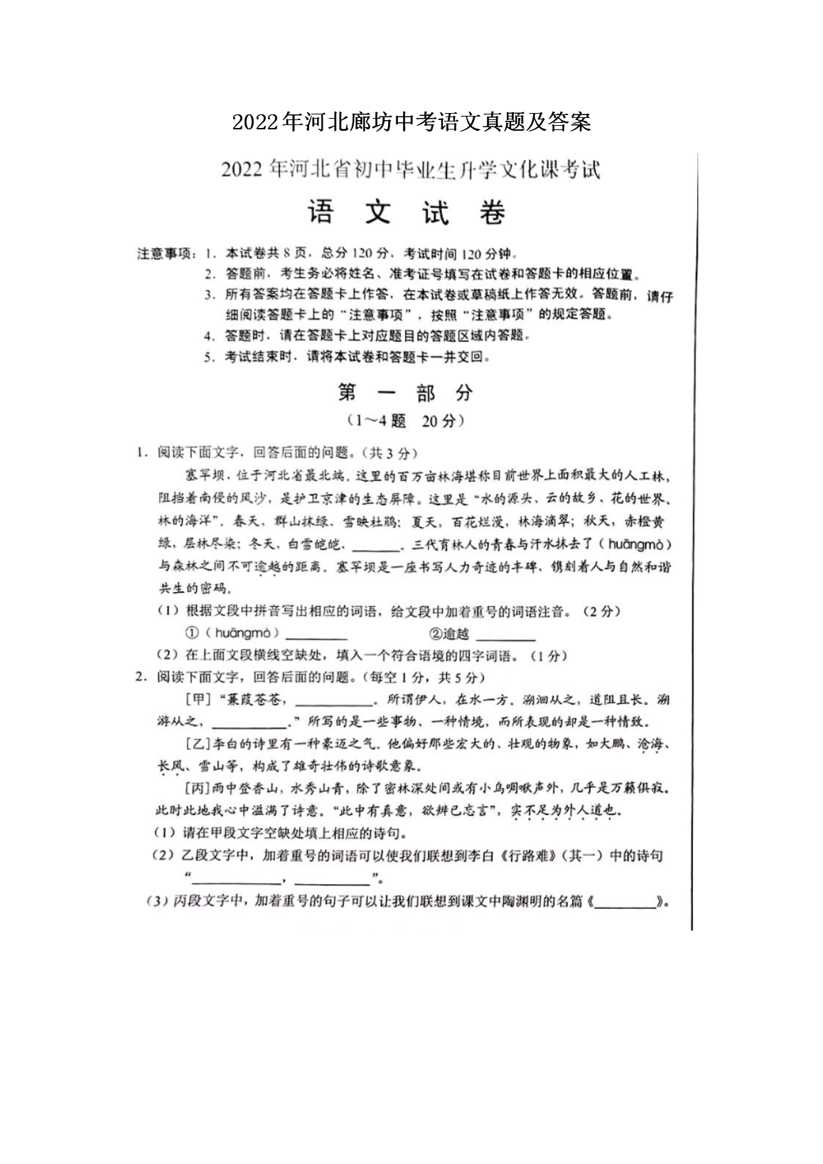 全面解析2024年语文试卷真题及答案，探索未知领域，洞悉考试要点