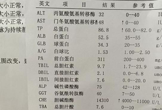 事业编体检中转氨酶标准详解