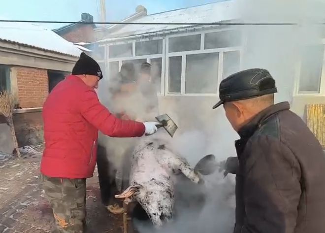 归途，父亲的监控喊话促成意外重逢之旅