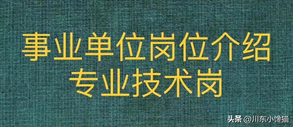 事业编信息技术岗位职责与挑战解析