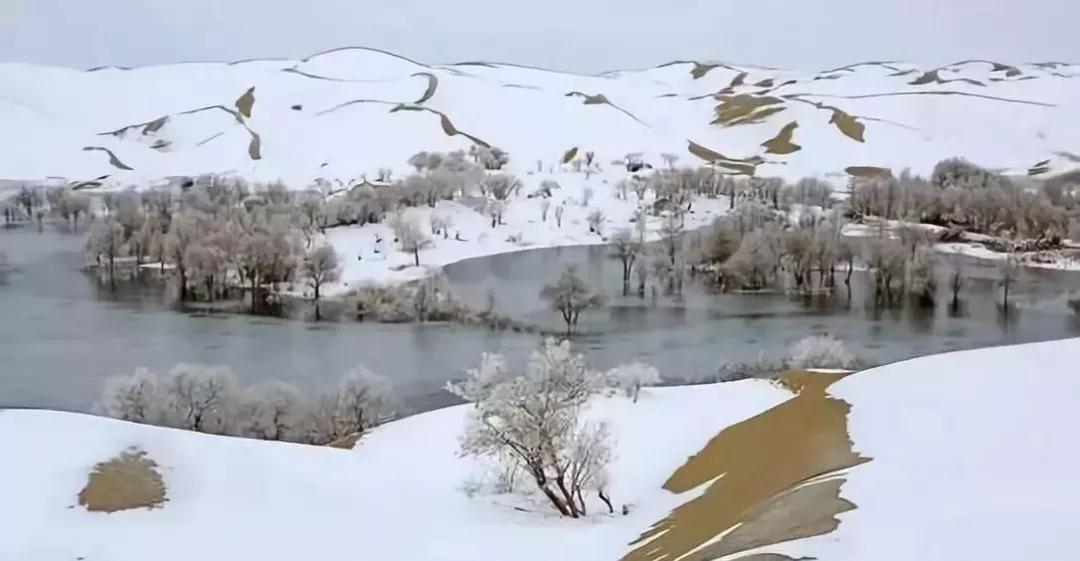 大雪纷飞，冬季的浪漫与美丽