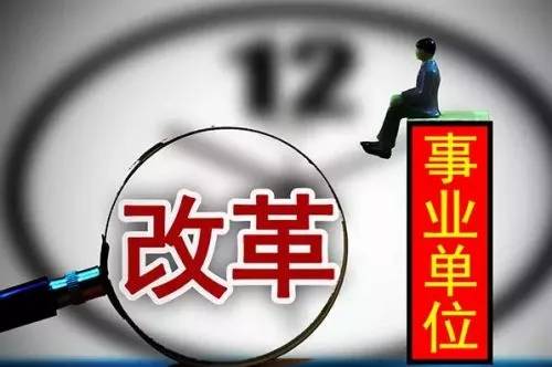 事业编考察阶段内容详解，全方位了解考察流程与要点