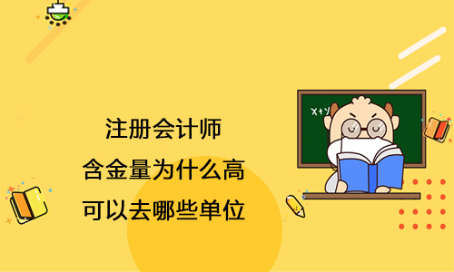 事业单位招聘财务管理考试内容概述与要点解析