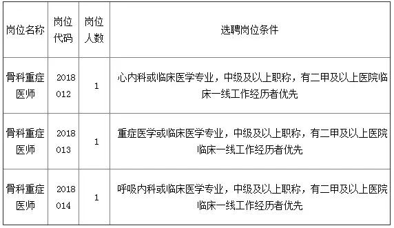 招聘平台 第259页