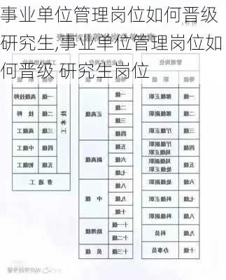 事业单位管理岗报考条件全面解析