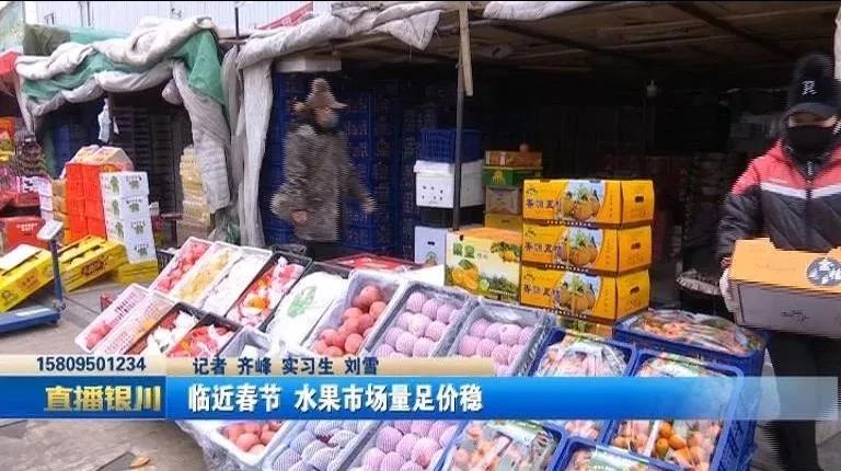 企业信息 第239页