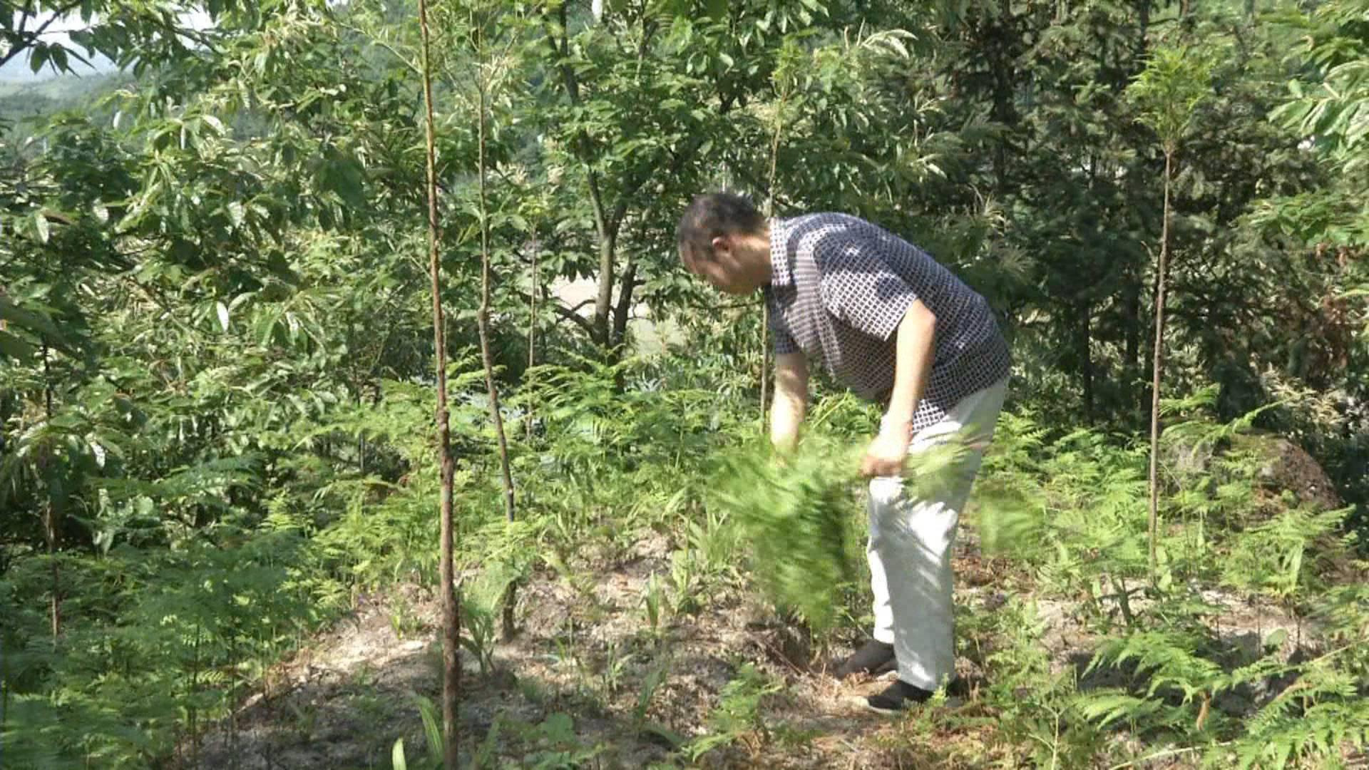 广东事业编备考必备指南，推荐资料助力成功之路