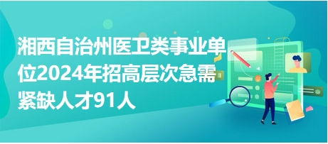 医卫类事业单位招聘，人才选拔与医疗事业协同发展的推动力