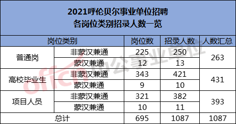 事业单位招聘岗位类别及其影响力概览