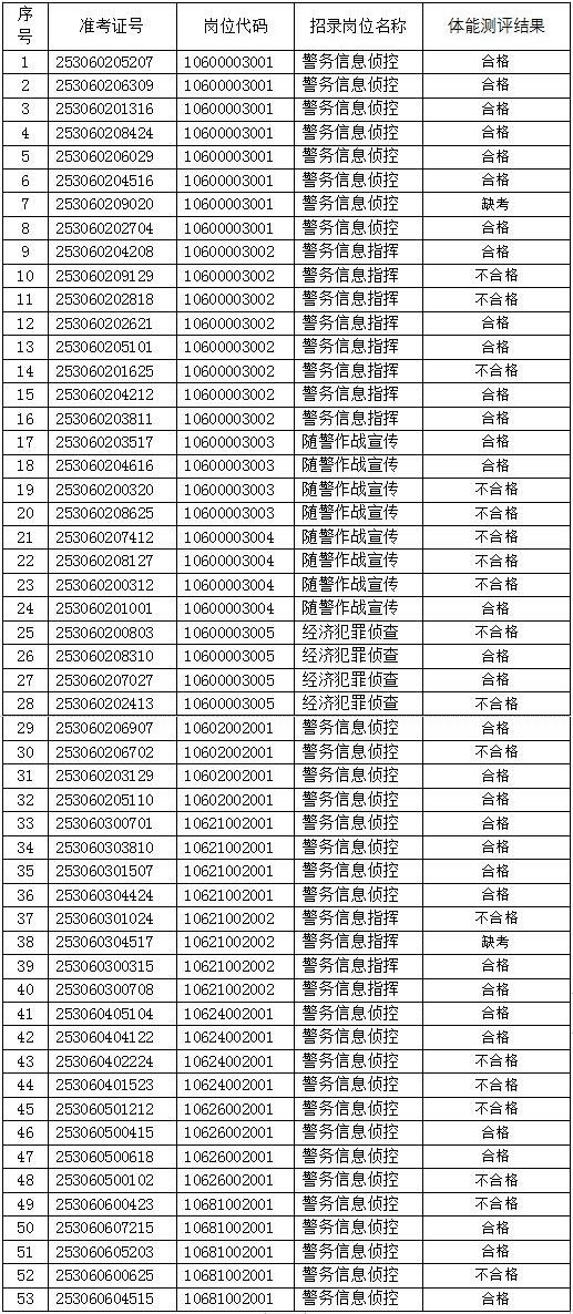 公安系统公务员招聘中的体能测试项目，重要性解析与内容探讨