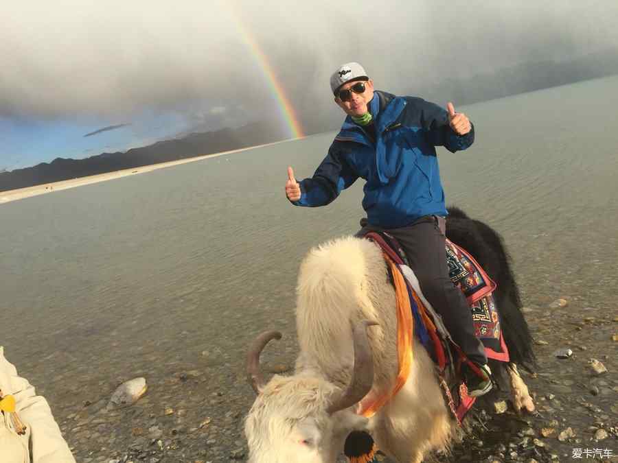 网友在西藏林芝旅游偶遇姜子牙坐骑