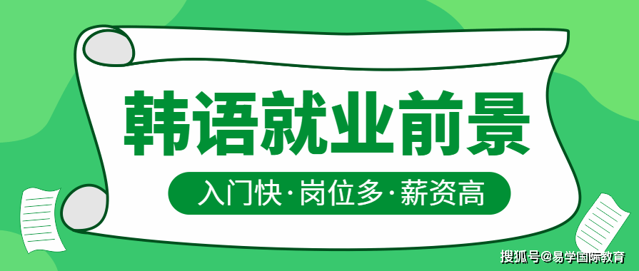 外交公务员岗位职责解析与概览