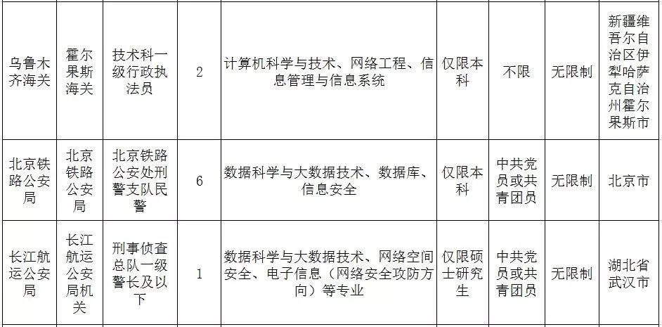 公务员信息技术岗位深度解析，优势与挑战探析