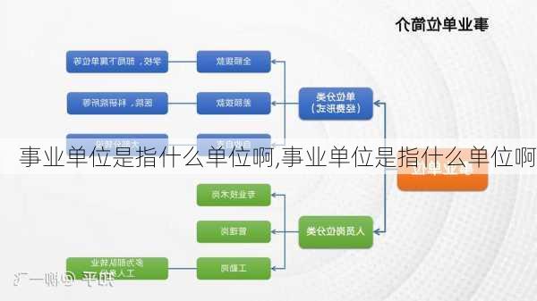 事业单位定向招聘详解，定义与特点解析