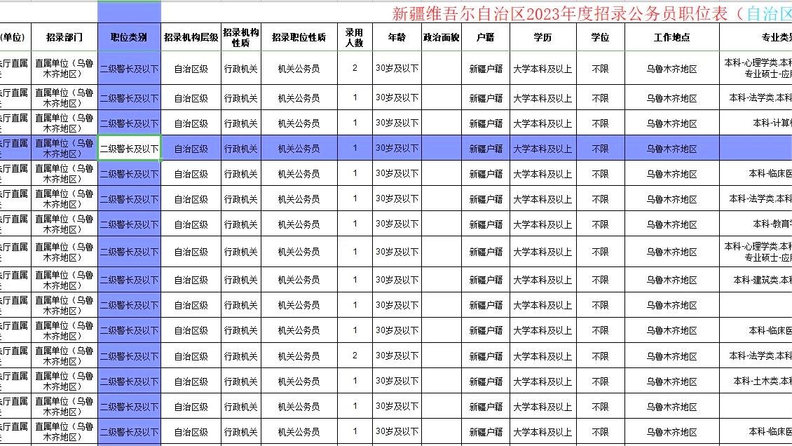 新疆公务员遴选职位表，背后的意义与挑战解析