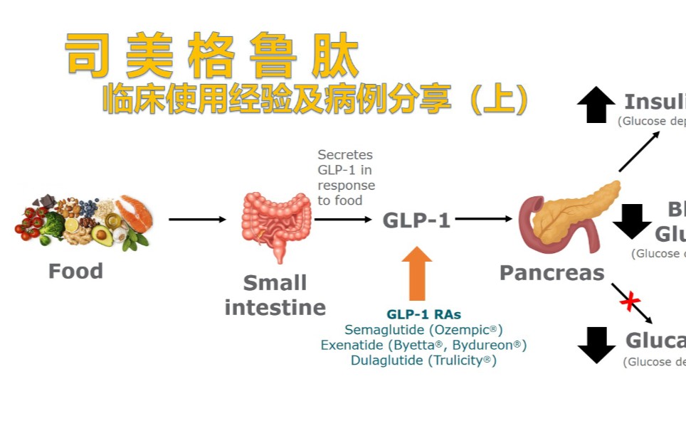 司美格鲁肽的原理研究