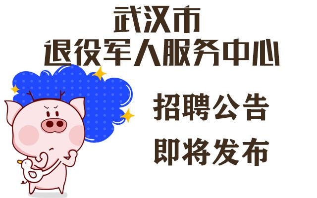 企业信息 第127页