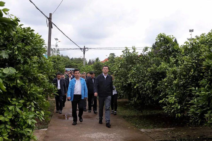 事业单位考察期，深度探索与洞察之旅