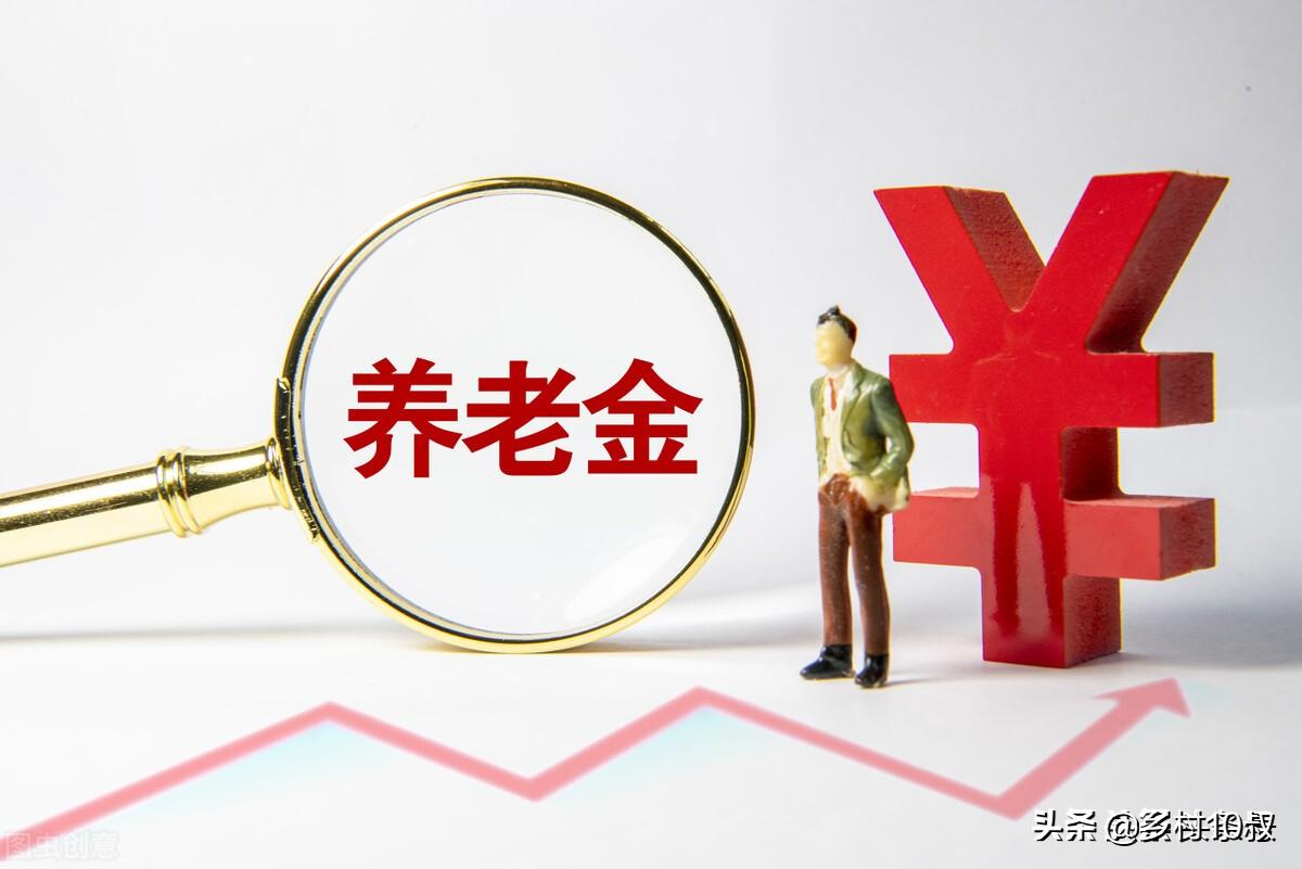 事业单位招聘考试网官网2024最新动态与备考指南全解析