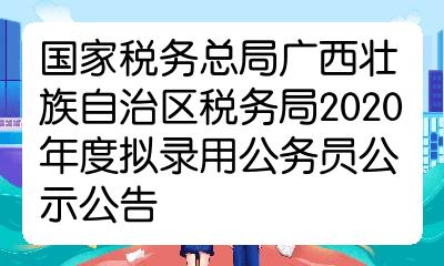 XXXX年度税务系统公务员招录公告正式发布