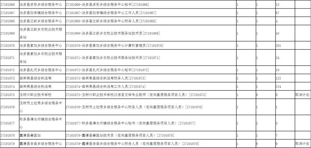 事业单位公开招聘统计表及其应用解析与探讨