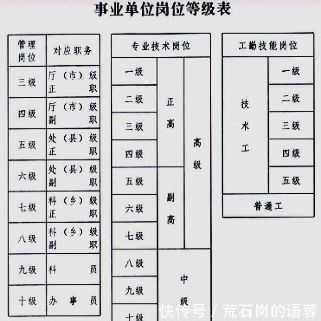 政府信息技术岗位，角色、职责与未来发展趋势