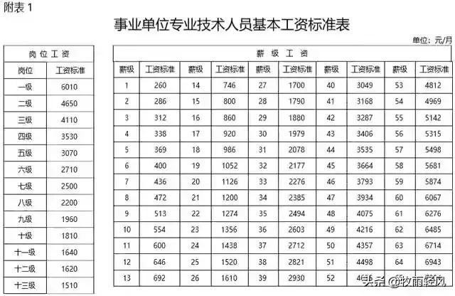 事业单位管理岗深度解析与探讨