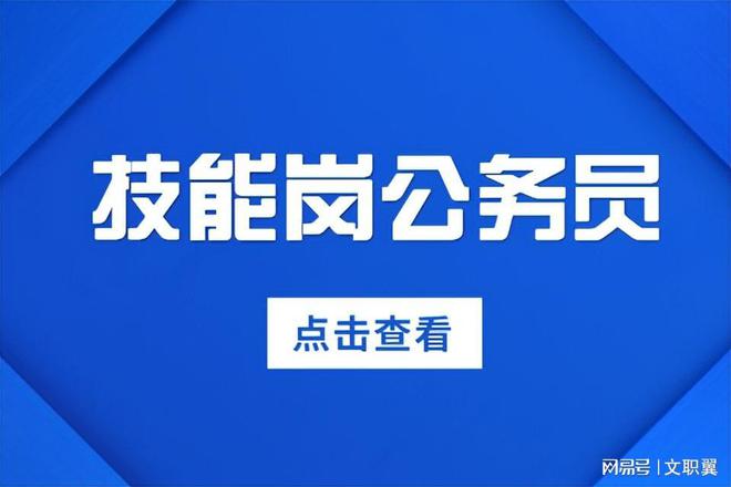 公务员信息技术岗位详解，发展前景、工作内容及职业体验如何？