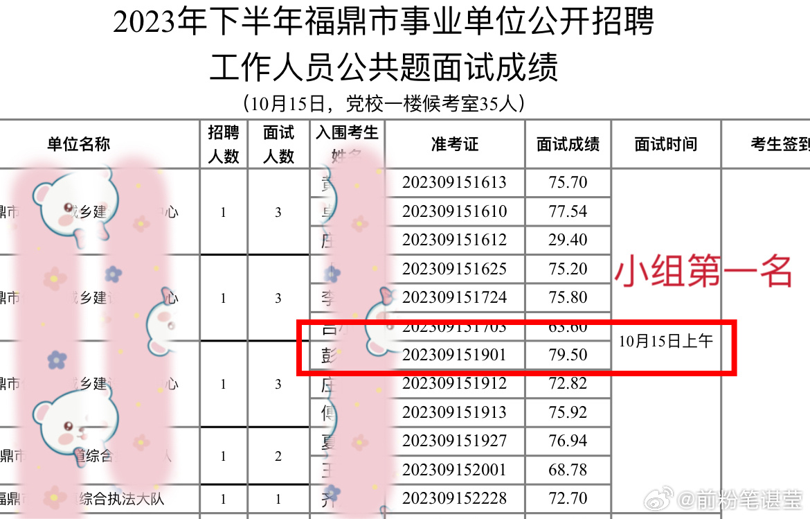 事业单位面试结果公布，透明选拔人才之路