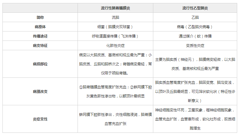 考核招聘与公开招聘的异同深度解析，两种招聘方式对比与解析