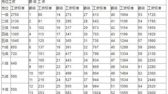 医疗事业编制级别工资体系深度解析与探索