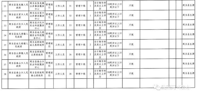 事业单位公开招聘人员登记表全面解析