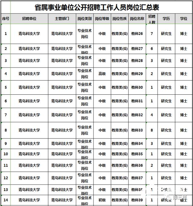 事业单位招聘岗位表深度解读与探讨