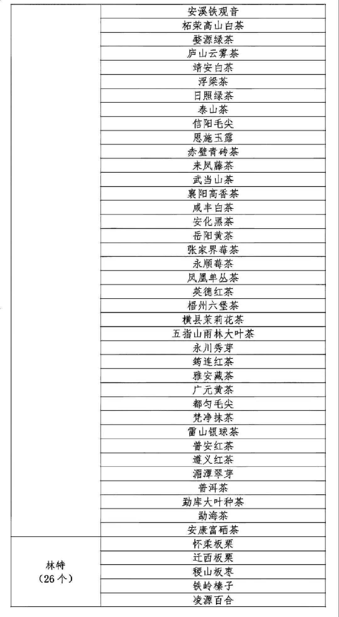 茅依婷，上海市公务员公示名单崭露头角的新星