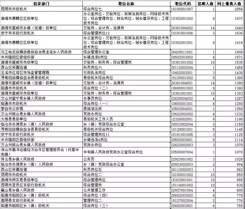 新时代公务员信息技术岗位职责与挑战解析