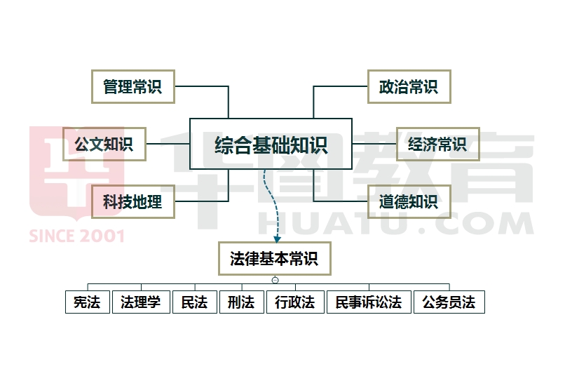 综合基础知识考试要点解析与策略分析